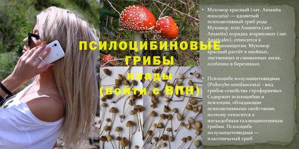 молекула духа Михайловск