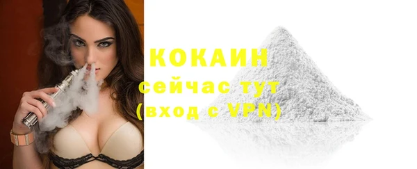 шишки Наволоки