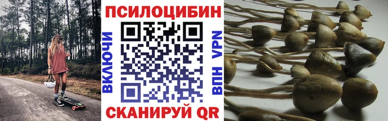 Псилоцибиновые грибы GOLDEN TEACHER  дарнет шоп  Байкальск 